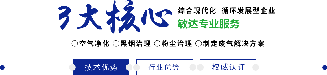 中国大鸡巴操日本女人屄视频敏达环保科技（嘉兴）有限公司